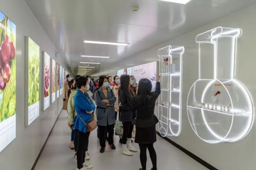 安琪紐特?cái)y手中國(guó)營(yíng)養(yǎng)學(xué)會(huì)，專業(yè)賦能藥品零售行業(yè)人才培養(yǎng)