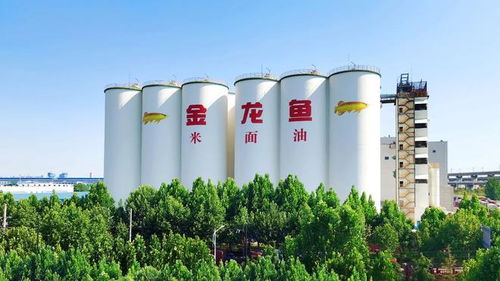 益海嘉里金龍魚(yú)八赴進(jìn)博之約 以科技健康雙輪驅(qū)動(dòng)，三季度業(yè)績(jī)穩(wěn)中有進(jìn)